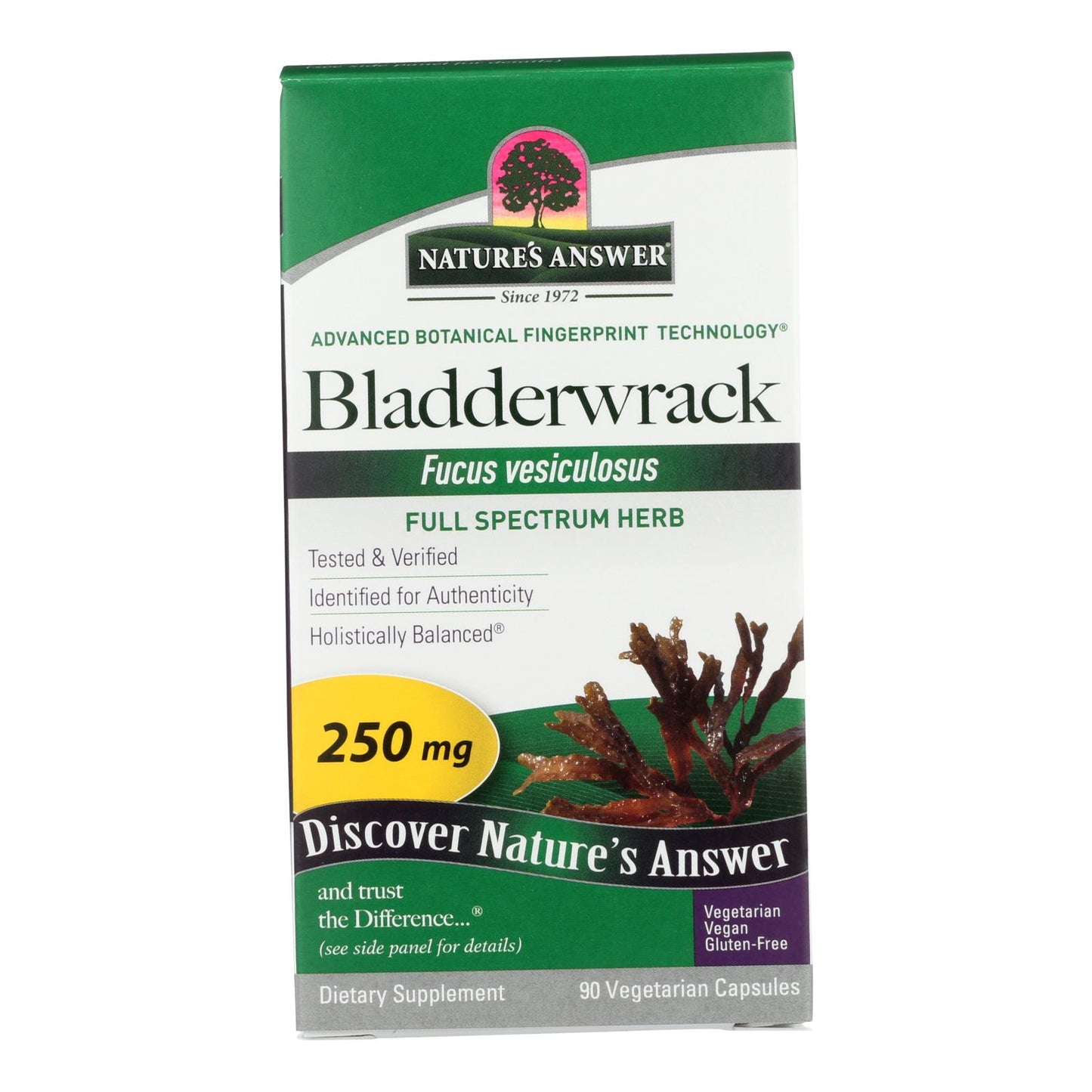 Nature's Answer - Bladderwrack Thallus - 90 Vegetarian Capsules